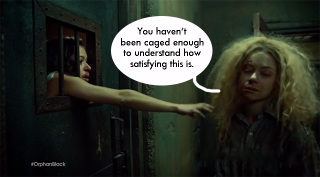 Illustration for article titled Orphan Black's Latest Twist Is Pretty Damn Horrifying